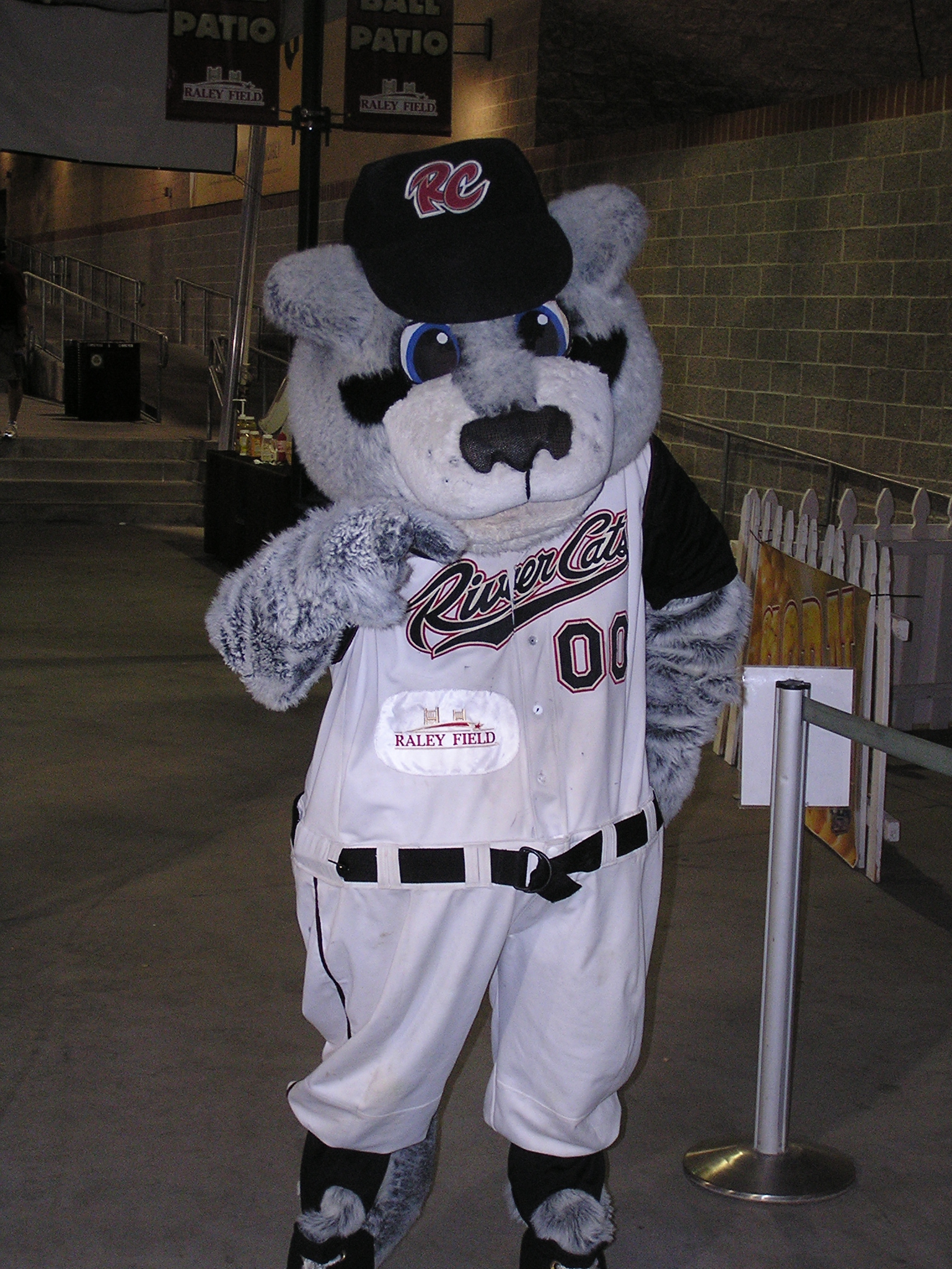 Dinger - The River Cats Mascot - Sacramento